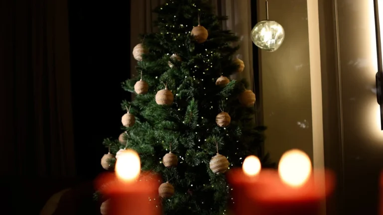 Gifts decorating a Christmas tree with warm lights at Atelier Roy Chaaya.